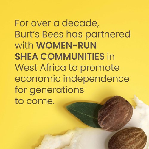 Burt's Bees Lip Balm - Shea & Aloe Moisturizer with Natural Beeswax | 4 Tubes, 0.15 oz Each