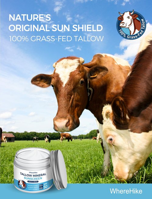 Stilip Organic Beef Tallow Sunscreen-SPF 50 with Zinc Oxide,Non-Toxic 2-in-1 Moisturizer & Mineral Sunblock | Reef Safe, Chemical-Free,Lightweight, Clean Formula for Sensitive Skin Natural Sunscreen.
