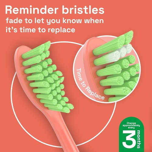 Brushmo Replacement Toothbrush Heads - Compatible with Philips Sonicare | 4 Soft Dupont Bristle Heads in Miami Coral