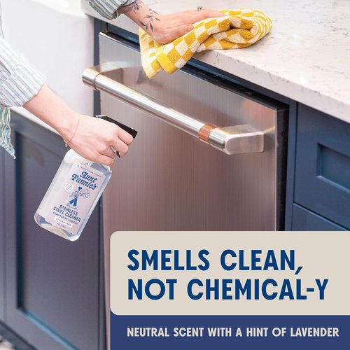 Aunt Fannie's Stainless Steel Spray Cleaner - Vinegar-Powered Residue Remover for Appliances | 16 oz