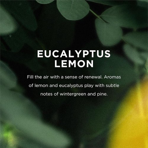 Eo Bubble Bath - Eucalyptus Lemon Scent for Relaxation | 12 Fl Oz