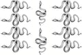 Fashion Realistic Big Size Black Snake Temporary Tattoo Stickers for Women Men Waterproof Fake Tattoo Waist Body Forearm Arm (Pack of 10)