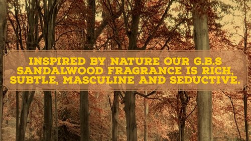 GENTS 97% All Natural Shave Soap Set for Men, Cedar & Pine, Sandalwood, Bay Rum, Pack of 3