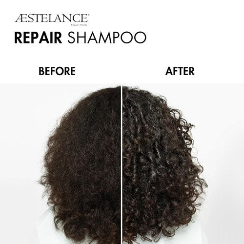 Skiennix Repair Shampoo - Nourishes Damaged Hair & Restores Brittle Strands | 8 Fl. Oz