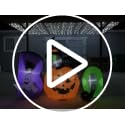 6 Ft Lighted Halloween Inflatable Black Cat with Ghost and Pumpkin Scene