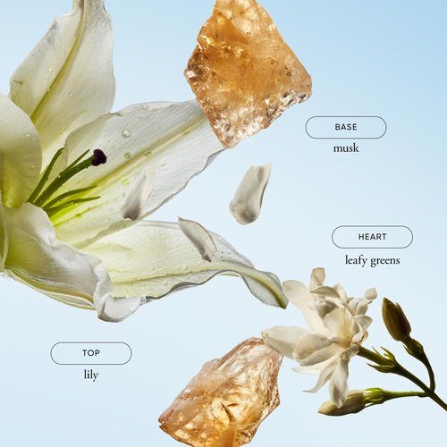 philosophy pure grace body lotion 16 fl oz