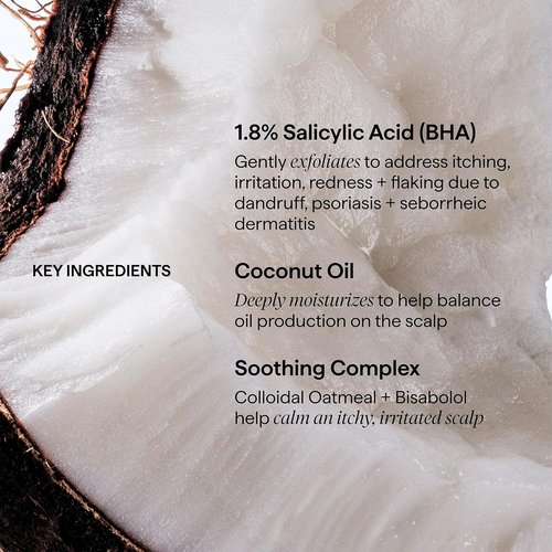 Briogeo Scalp Revival Conditioner - Dandruff Relief with Charcoal & Salicylic Acid | Color-Safe, Vegan | 8.4 fl oz