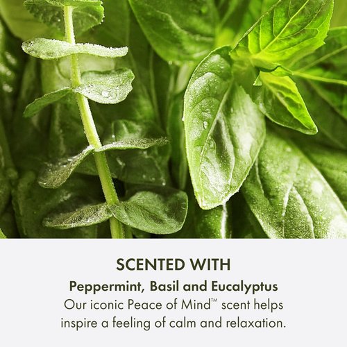 Origins Peace of Mind Daily Body Wash | Cleanses Skin & Awakens Your Senses| With Our Signature Scent of Peppermint, Basil and Eucalyptus, 6.7 Fl Oz