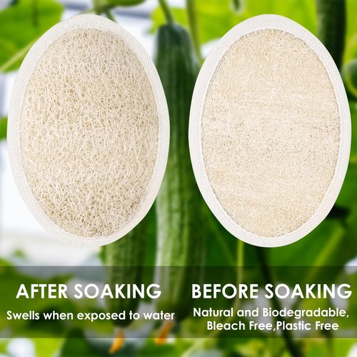 Treeswin Natural Loofah Sponge, 2 Pack Exfoliating Body Scrubber for Shower, Organic Biodegradable Bath Luffa with Thin/Thick Textures, Eco-Friendly Body Exfoliator for Men & Women, Hanging Rope