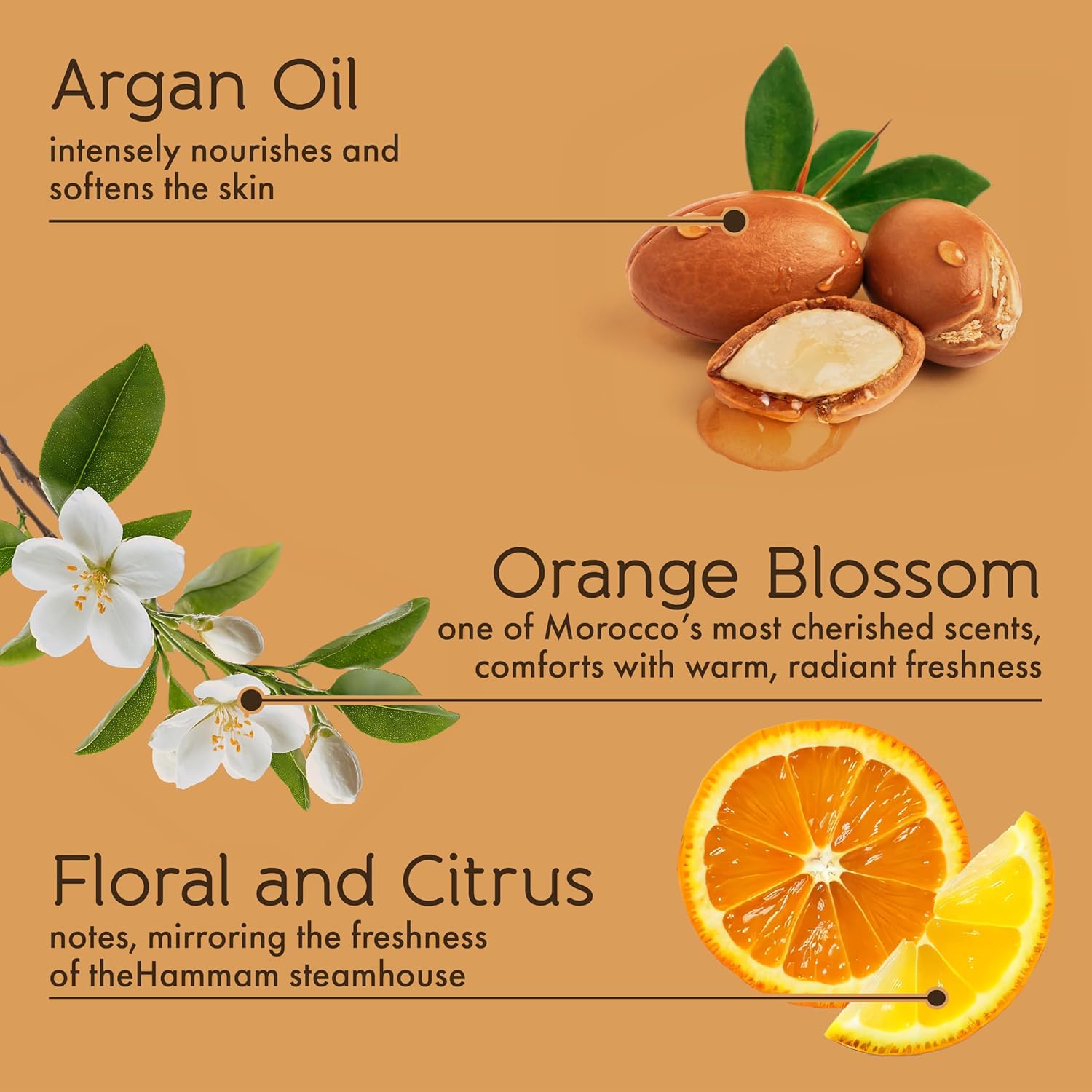Tesori d’Oriente Hammam Body Lotion - Fast-Absorbing Daily Moisturizer with Argan Oil | 13.5 fl oz, Orange Blossom Scent