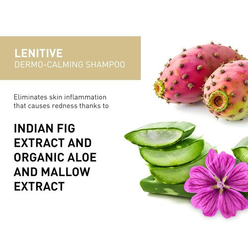 Insight Dermo-Soothing Shampoo - Gentle Relief for Sensitive Scalps | 100 ml