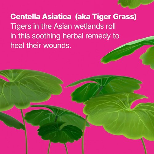 Dr.Jart+ Cicapair Tiger Grass Camo Drops - Tinted Serum SPF 35 with Centella Asiatica | Korean Skin Care Makeup Hybrid, 1.01 Fl Oz