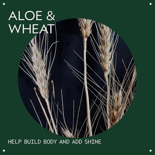 Aveda Volumizing Hair Tonic - Volume Spray for Fine & Medium Hair | Boost Body & Shine with Organic Aloe