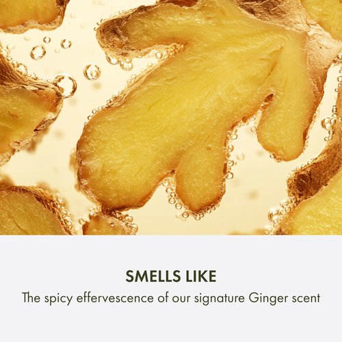 Origins Ginger Exfoliating Body Wash| Cleanses, Gently Scrubs & Invigorates Your Senses| With Bamboo, Carnauba Wax, Walnut and Ginger, 6.7 Fl Oz