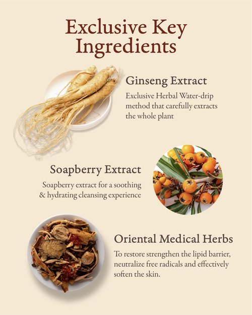 Sooryehan Bon Cleansing Foam (5.4fl oz) - Korean Skincare Herbal Ginseng Cleanser for Hydration & vitality, Reduces Tightness & Dullness. with Jinseng Soapberry™ & Ginseng Bonchodan