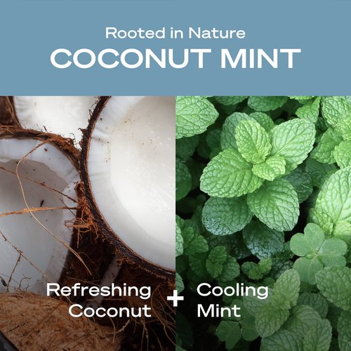 Hey Humans Coconut Mint Moisturizing Body Wash with Natural Ingredients & Jojoba Oil | Clean, Vegan, Sulfate Free Bath & Body Wash for Women & Men | Recyclable Bottle, 14 fl. oz. - Pack of 3