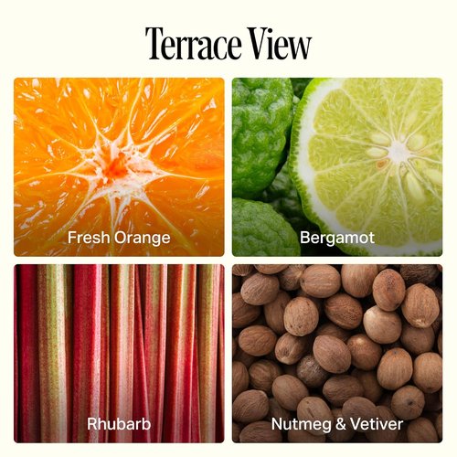 Preston Lane Luxury Hand Wash - Terrace View Scent | Hydrating Formula with Organic Oils & Kiwi Extract, Vegan & Cruelty-Free