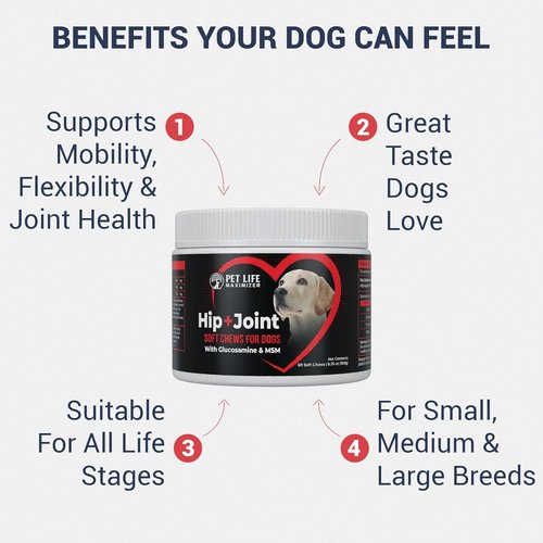 3-in-1 Advanced Dog Hip & Joint Supplement - Tasty Glucosamine Chews for All Breeds & Seniors - Chicken Flavor