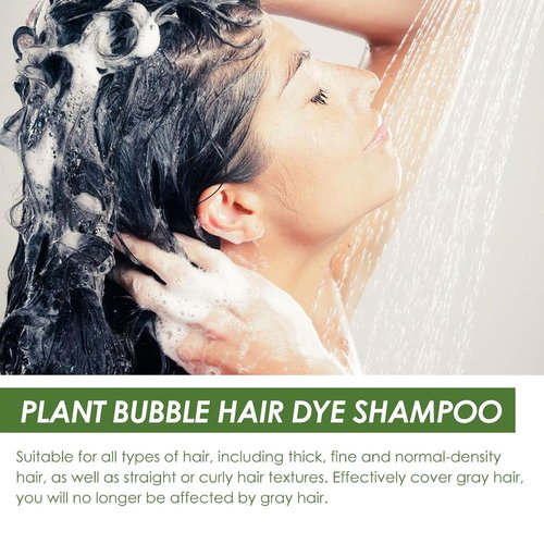 Skiennix Plant Extract Hair Dye Foam Shampoo - Natural Grey Coverage for Men & Women | Black