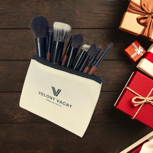 Mini Makeup Brush Set, 9 Full Face Mini Travel Make Up Brushes Set, Synthetic & Natural Hair Makeup Brushes For Blush, Eyeshadow, Conceal, Eyebrow Brush, with a compact Brush Case