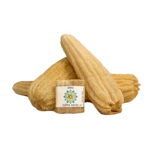 Premium Organic Loofah Sponge Medium 6“ | Loofah for Bath & Shower | Body Scrubber for Shower Scrubbing | Eco Friendly 100% Natural & Biodegradable | Daily Skin Cleansing Care for Women and Men