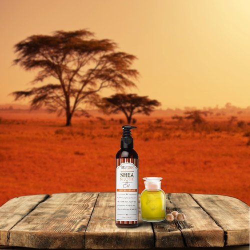 Shea Terra Organics Shea Nilotik’ Oil - Fragrance-Free Daily Moisturizer for Sensitive Skin | 8 oz