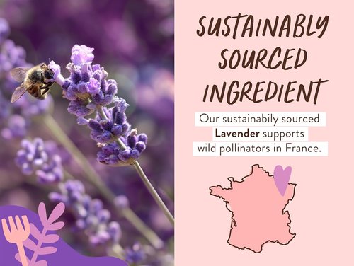BABO Botanicals Calming Lavender Bubble Bath & Wash - Relaxing Chamomile & Lavender - EWG Verified | Vegan Friendly