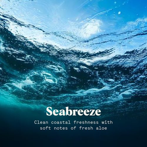 All-Natural Body Powder - Moisture & Odor Control, Sweat Absorbing, Anti-Chaffing, Talc-Free, Prevents and Eliminates Body Odor Naturally - Seabreeze Fragrance (Pack of 3)