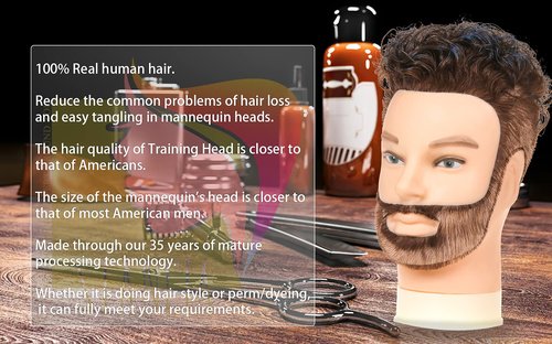 Stancia Mannequin Head, Male Mannequin Head Especially for Barber, Training Head with 14” 100% Human Hair, Manikin Head for Hair Styling and Practice (with Beard)