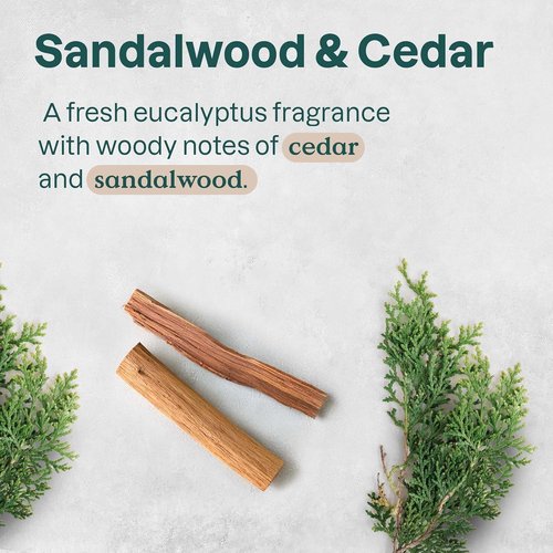 ATTITUDE Aluminum-Free Deodorant - Natural Ingredients for Odor Control | Sandalwood & Cedar, 2.64 Oz