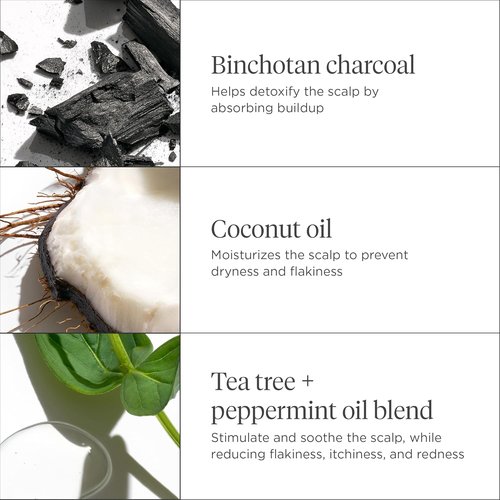 Briogeo Scalp Revival Shampoo & Treatment Bundle - Detoxify & Soothe | Charcoal & Coconut Oil | 8 fl oz + 1 fl oz