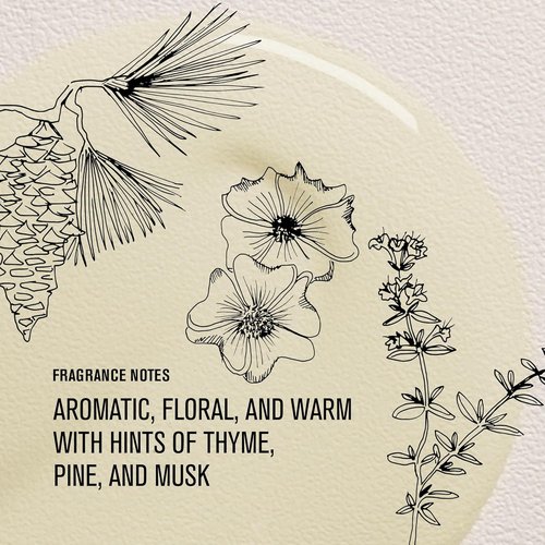 Davines OI Oil - Weightless Hair Oil for Dry, Coarse & Curly Hair | Control Frizz & Enhance Shine