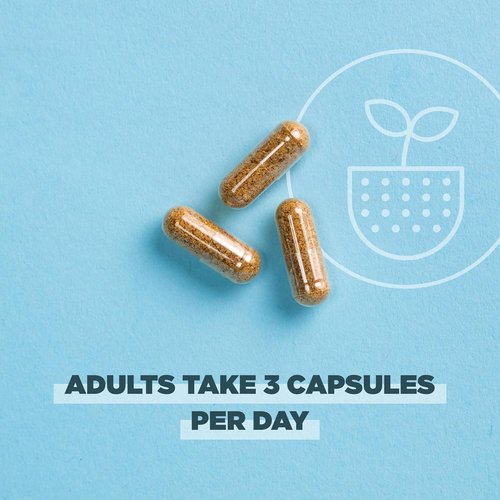 Ancient Nutrition Women's Hormones Capsules - Supports Hormone Health & Digestion | 90 Count, Gluten-Free