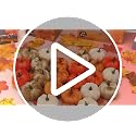 24 Pcs Halloween Velvet Mini Pumpkins - Faux Fall Decor, Small Faux Pumpkins, Craft Supplies, Gift Box Included