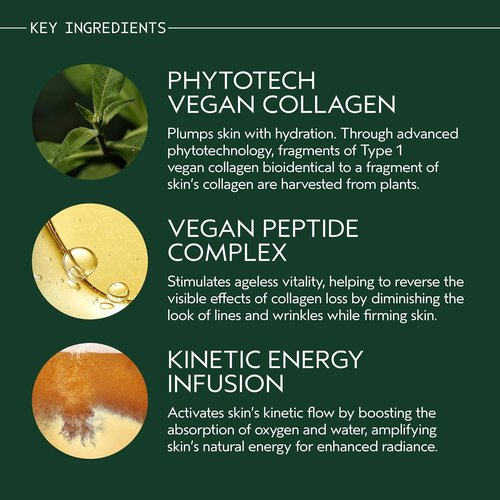 Aveda Advanced Botanical Kinetics Plumping Cream - Firming & Wrinkle Reducing | Vegan | 1.7 Fl Oz