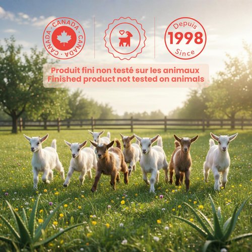 Caprina Liquid Hand Soap, Fresh Goat’s Milk with Shea Butter, 500 ml, Moisturizing Hand Wash for Dry Skin