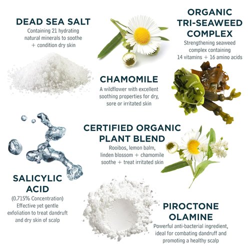 Sea Magik - Salicylic Acid Shampoo for Psoriasis & Itchy Scalp Relief | Soothing Seaweed Treatment (300ml)