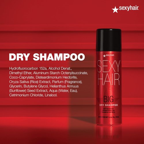 SexyHair Big Dry Shampoo - Remove Oils & Impurities for Extra Volume | Suitable for All Hair Types