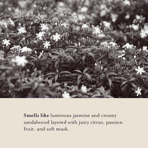 A LA MAISON Whipped Body Butter - Jasmine & Santal - Ultra-Rich Shea Moisturizer for Dry Skin - 6.7 oz