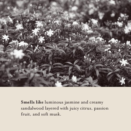A LA MAISON Cleansing Shower Oil – Jasmine & Santal