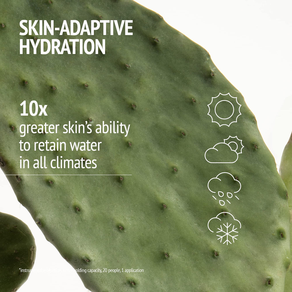[ comfort zone ] Hydramemory Rich Sorbet Cream, Intense Hydration Face Moisturizer, Brightens, Smooths, Climate Adaptive, Vegan, Prickly Pear, Hyaluronic Acid, Dehydrated Skin, Daily Use, 1.69 Fl Oz