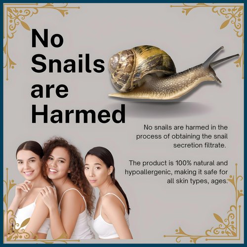 Snail Mucin Sheet Mask | Renewal Elixir Face Masks Skincare | 96% Power Snail Essence Serum for Skin Repair & Hydration | Treats Photo-Aged Skin | Not Tested on Animals | Korean Skin Care