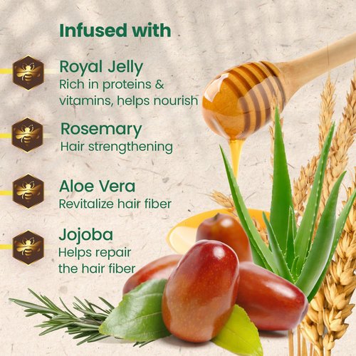 Tio Nacho Mexican Herbs Shampoo - Strengthening Formula with Royal Jelly & Ginseng | 32 Fl Oz