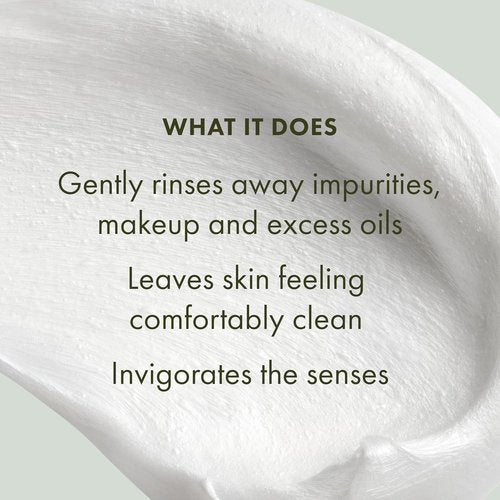 Origins 2-Piece Frothy Face Wash Bundle - Gently Cleanses All Skin Types | Mint Scented for Home & Away
