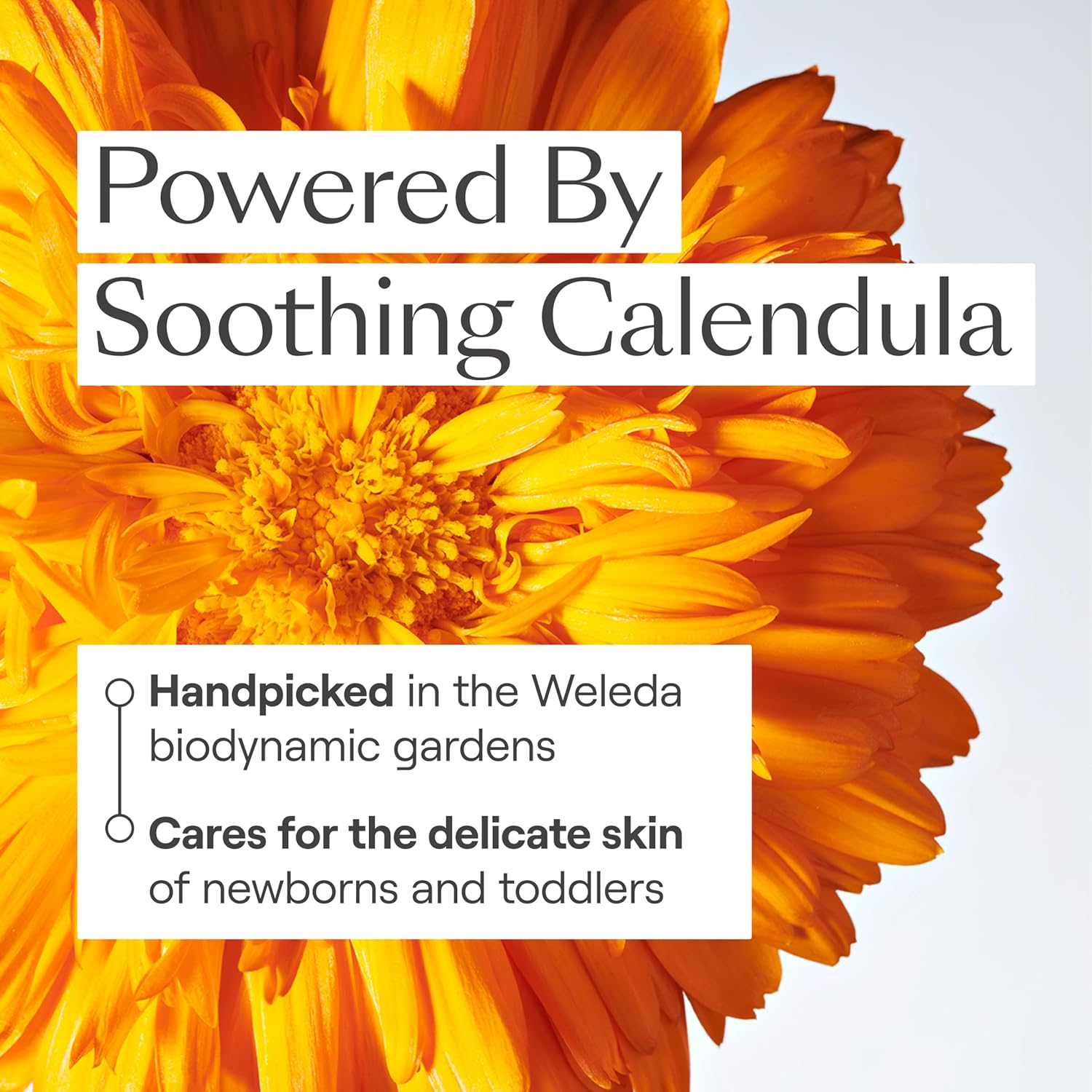 Weleda Baby Calendula 2-in-1 Gentle Shampoo & Body Wash - Plant-Rich Cleanser with Calendula & Almond Oil | 6.8 Fl Oz
