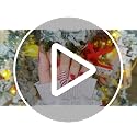 Semi Cured Gel Nail Art Stickers Christmas Nail Wraps - 20 Strips