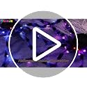 50 Inch Giant Light Up Halloween Spiders Set - Blue and Purple, Bendable Legs, Battery Operated
