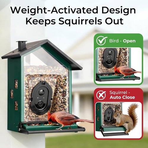TT Nature Smart Bird Feeder - Solar-Powered Camera with AI Bird Identification | 3.2L Capacity, Green