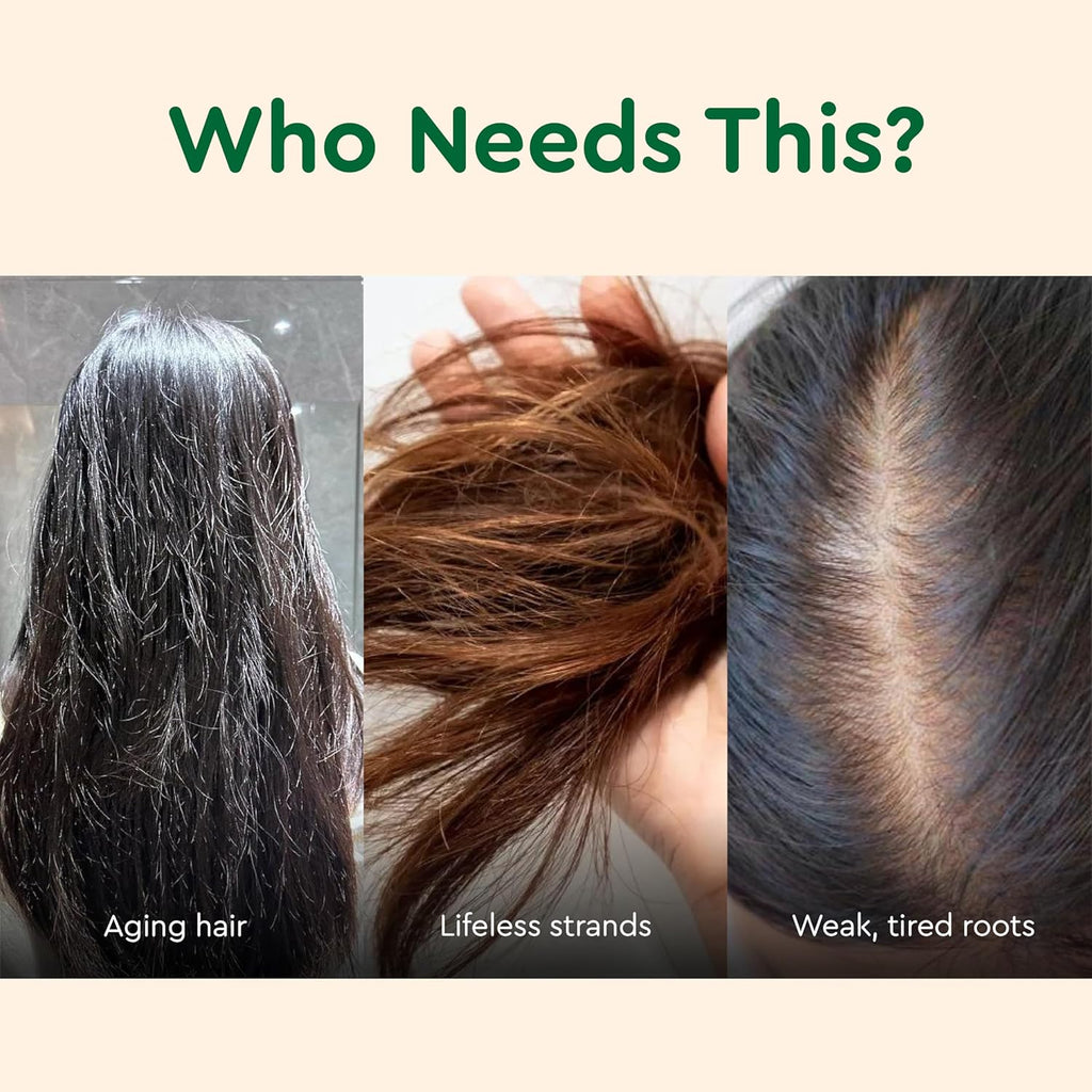 VIETNAM Hair Growth Shampoo - Strengthens Thinning Hair with Polygonum Multiflorum | 14.8 oz