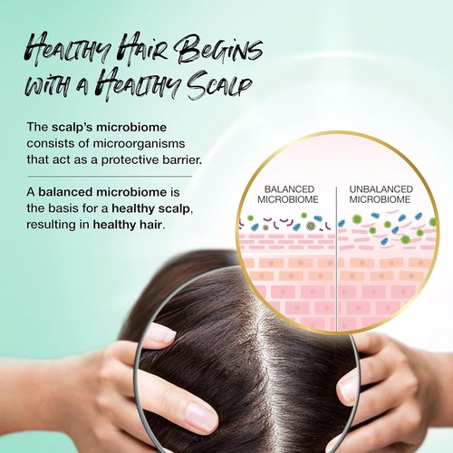 Biotera Color Care Conditioner - Extend & Maintain Color-Treated Hair | Vegan, Paraben-Free, Microbiome Friendly